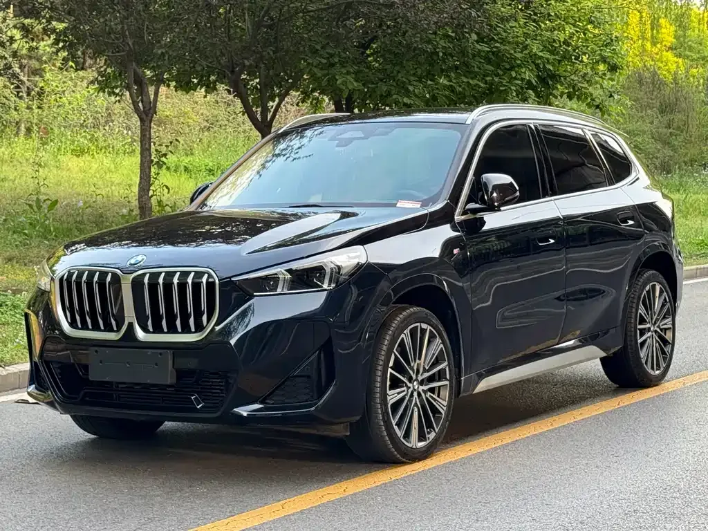 BMW X1 — фото 1