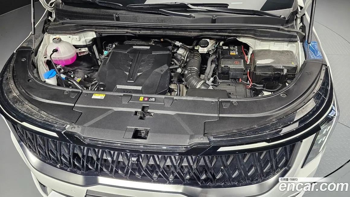 Kia Carnival — фото 10