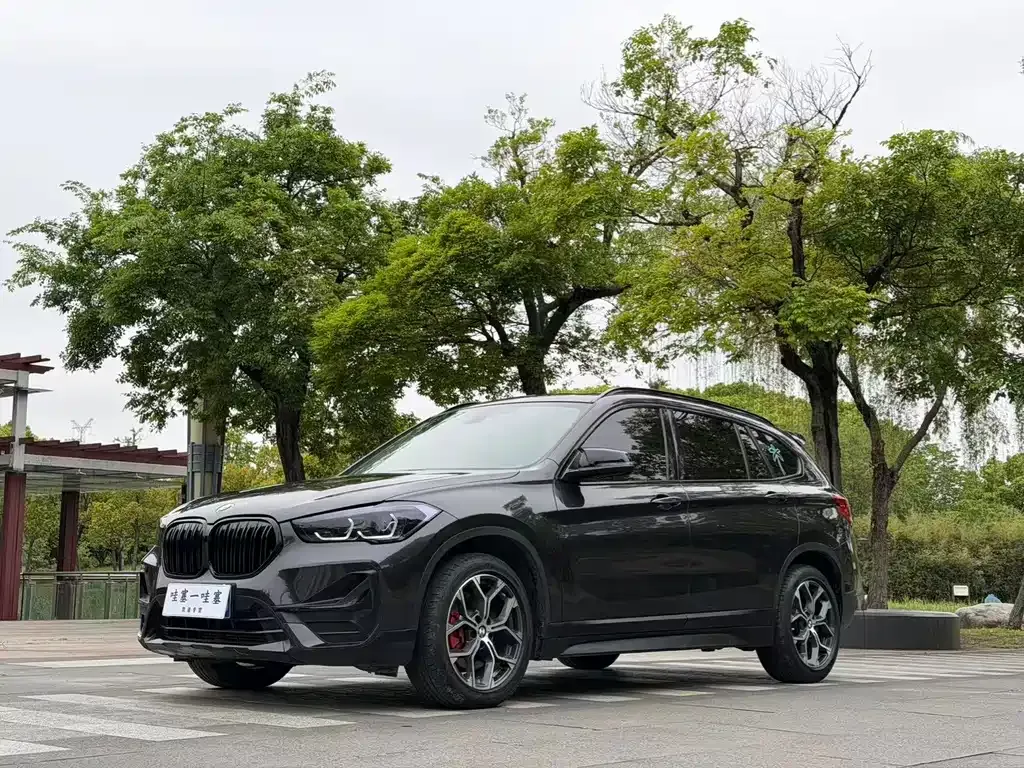 BMW X1 — фото 1