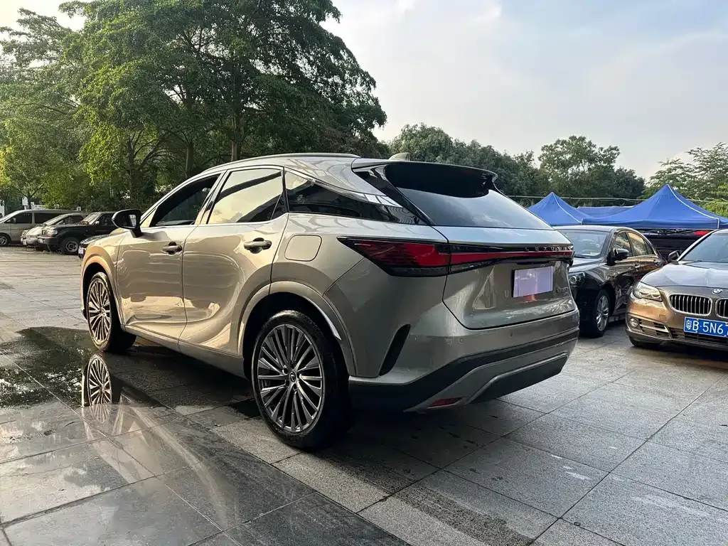 Lexus RX — фото 8