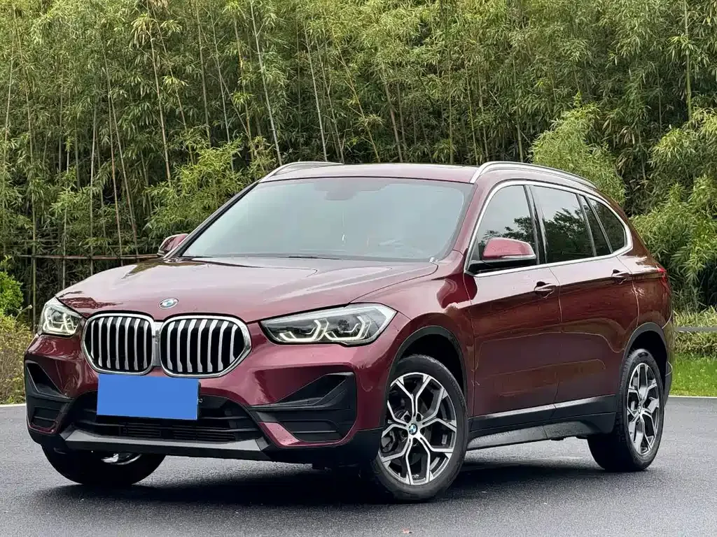 BMW X1 — фото 1