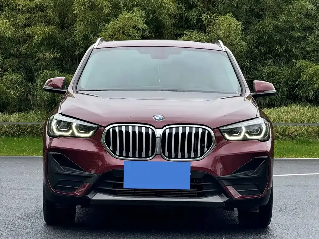 BMW X1 — фото 4