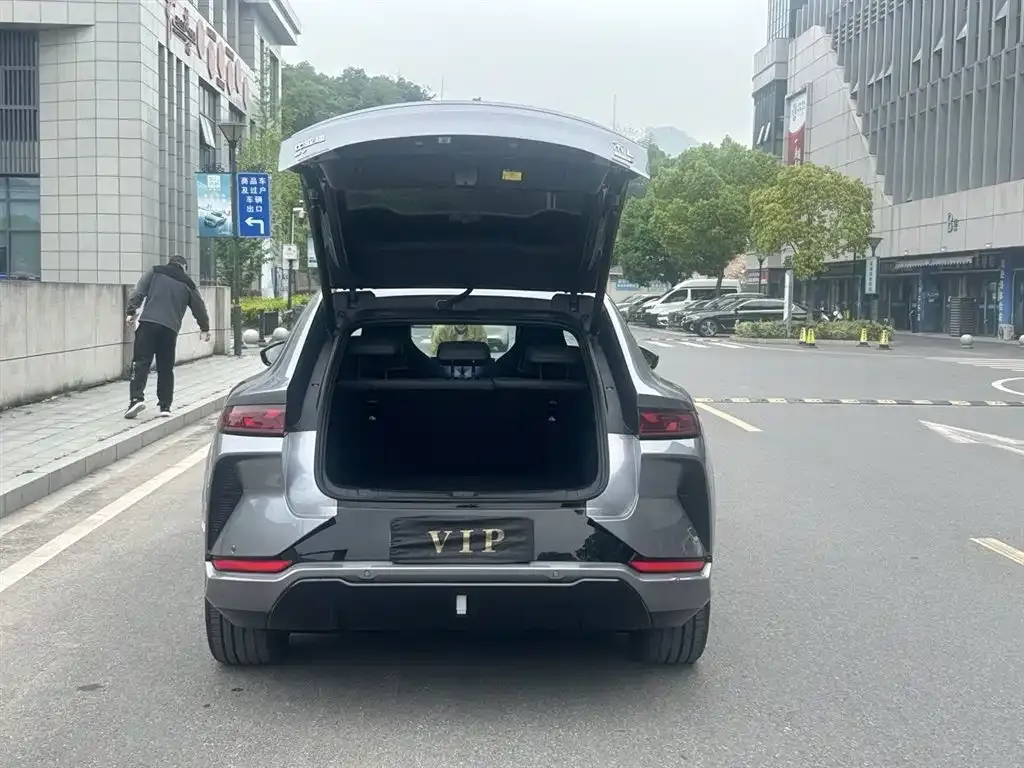BYD L EV — фото 10