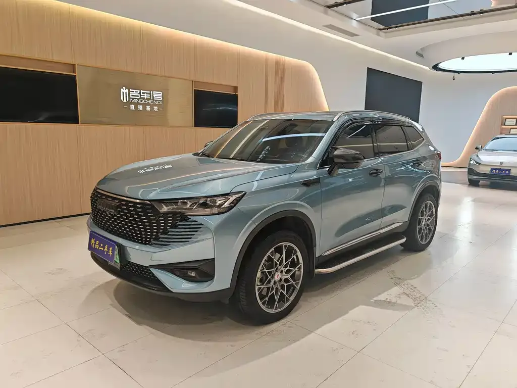 Haval H6 New Energy — фото 1