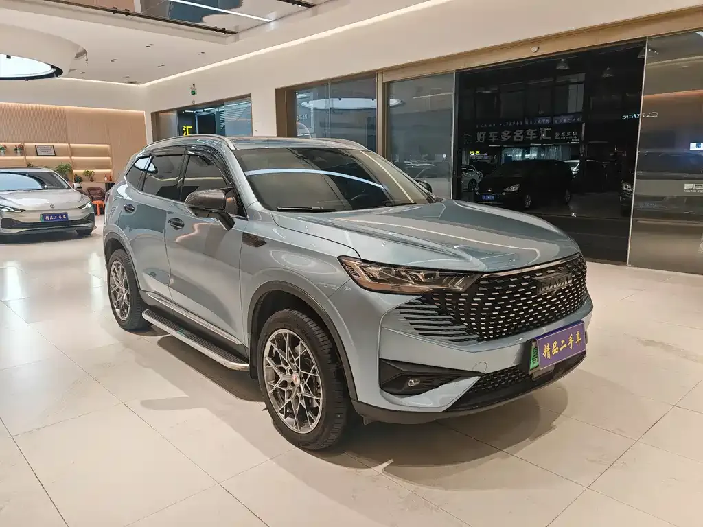 Haval H6 New Energy — фото 9
