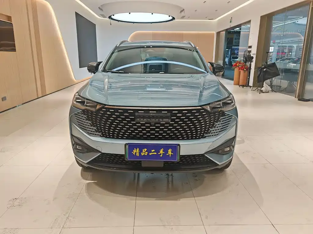 Haval H6 New Energy — фото 7