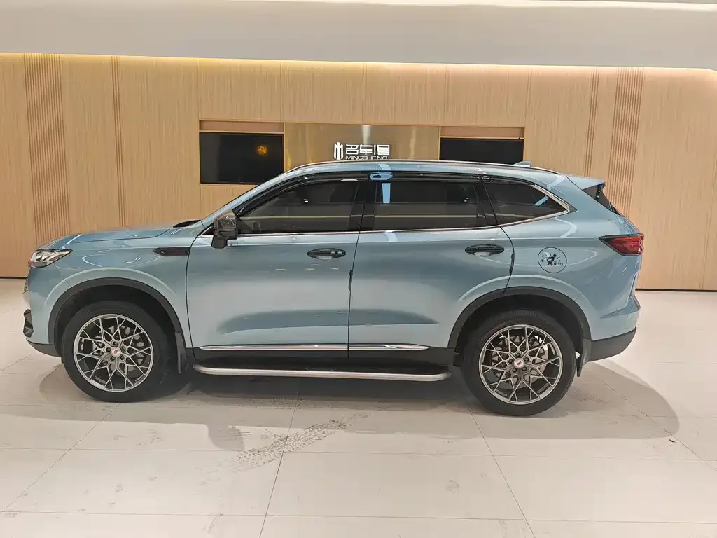 Haval H6 New Energy — фото 10