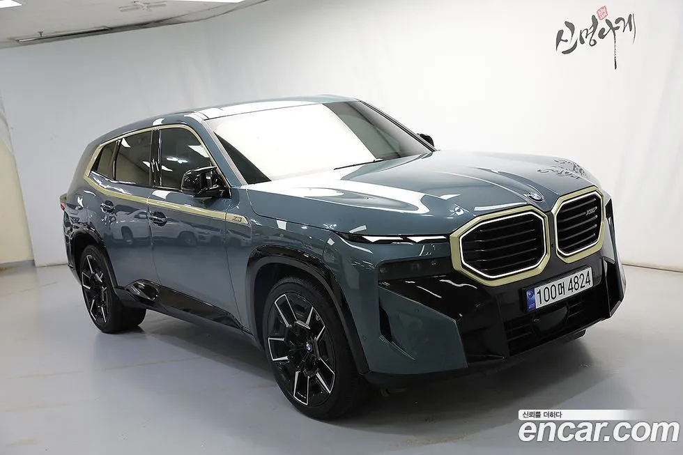 BMW XM — фото 10