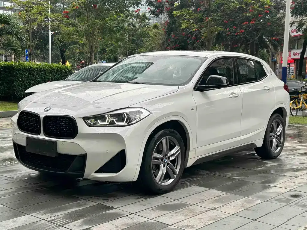 BMW X2 — фото 1