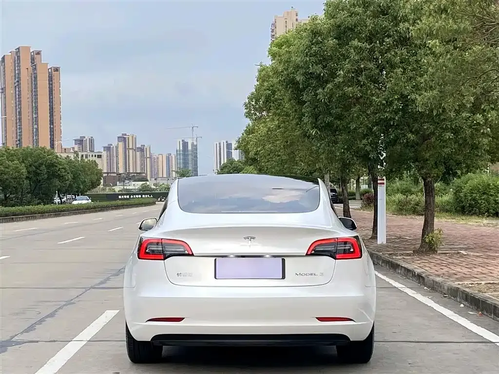 Tesla Model 3 — фото 2