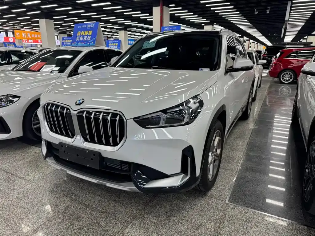 BMW X1 — фото 1