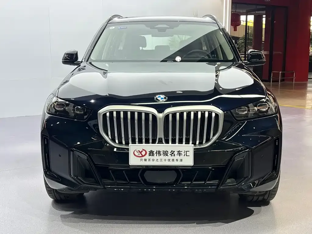 BMW X5 — фото 10