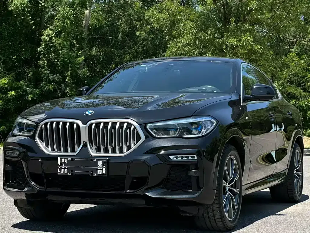 BMW X6 — фото 1