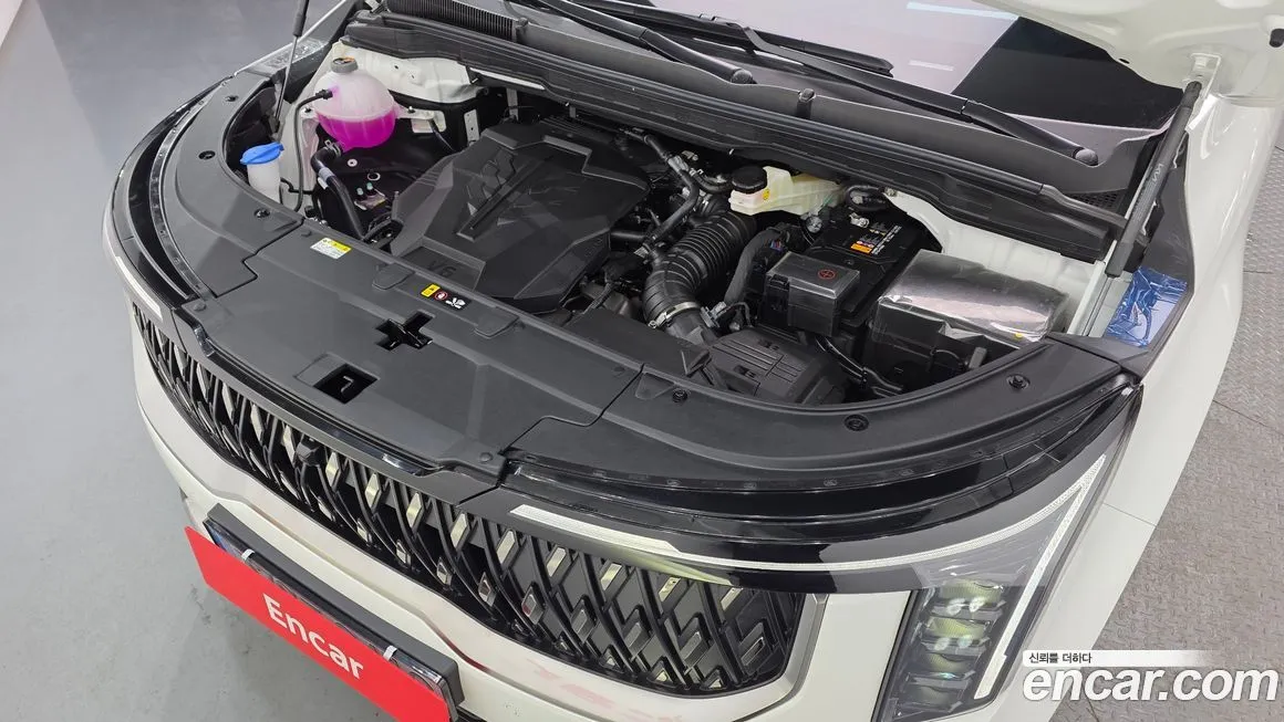 Kia Carnival — фото 10
