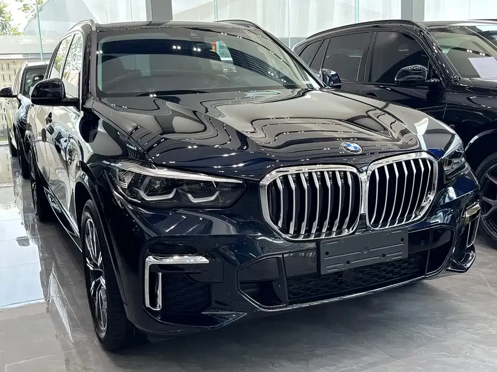 BMW X5 — фото 10