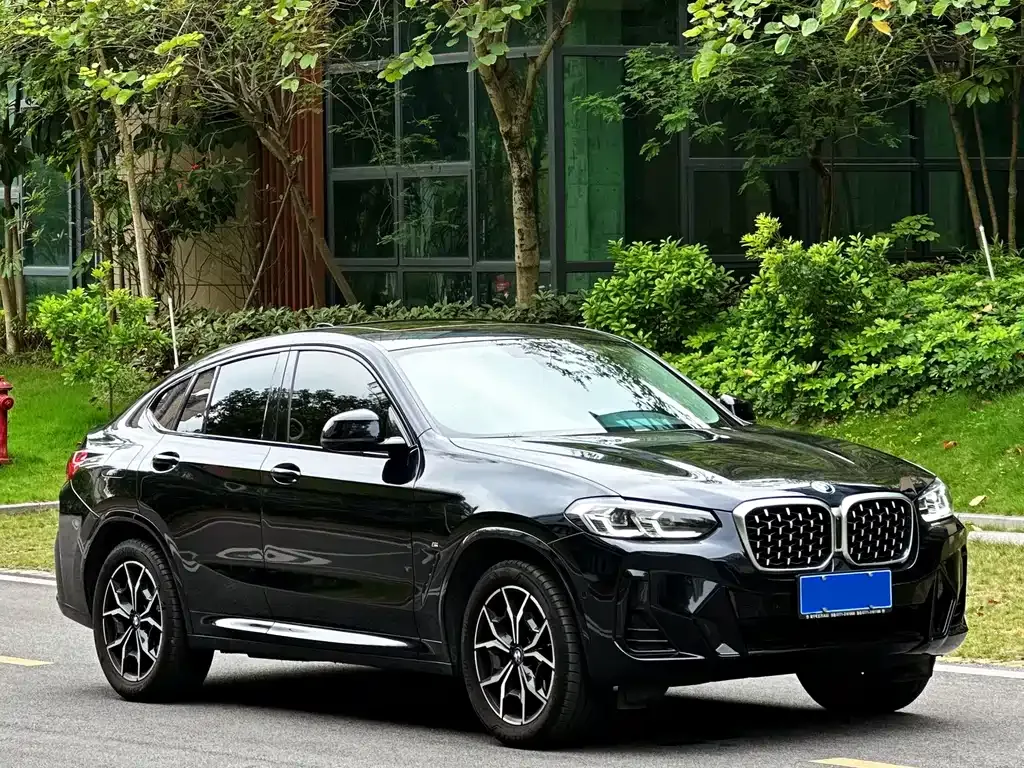 BMW X4 — фото 10