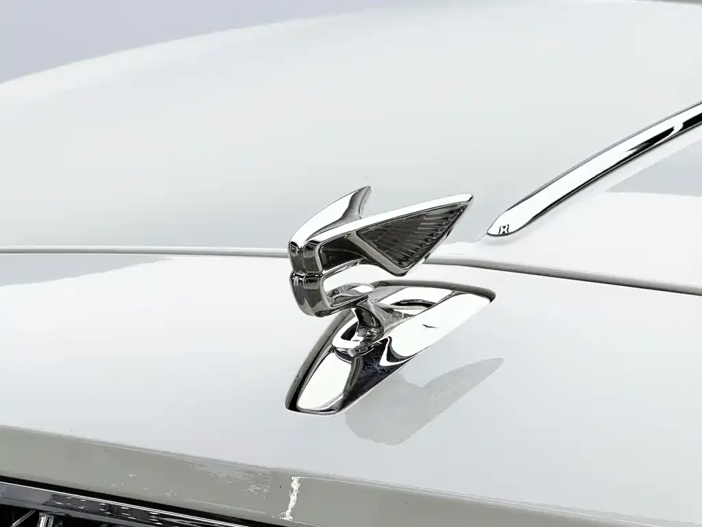 Bentley Flying Spur — фото 6
