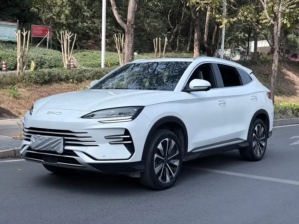 BYD PLUS New Energy — фото 1