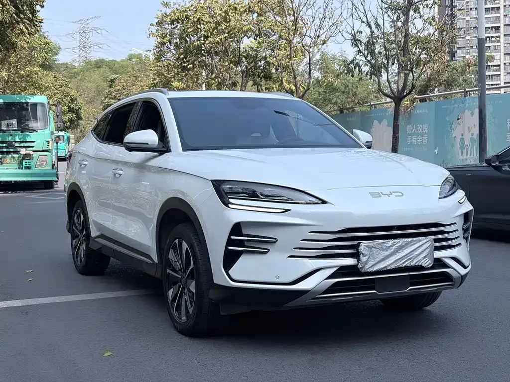 BYD PLUS New Energy — фото 4