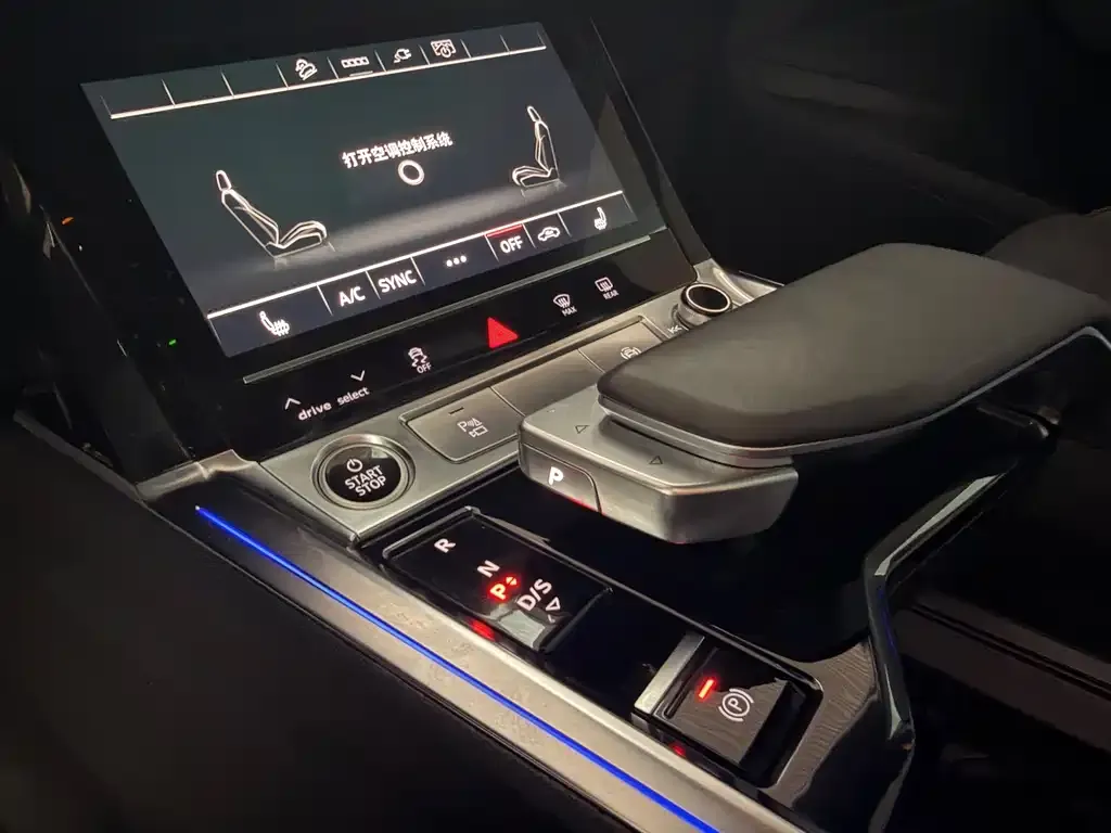 Audi e-tron (Import) — фото 2