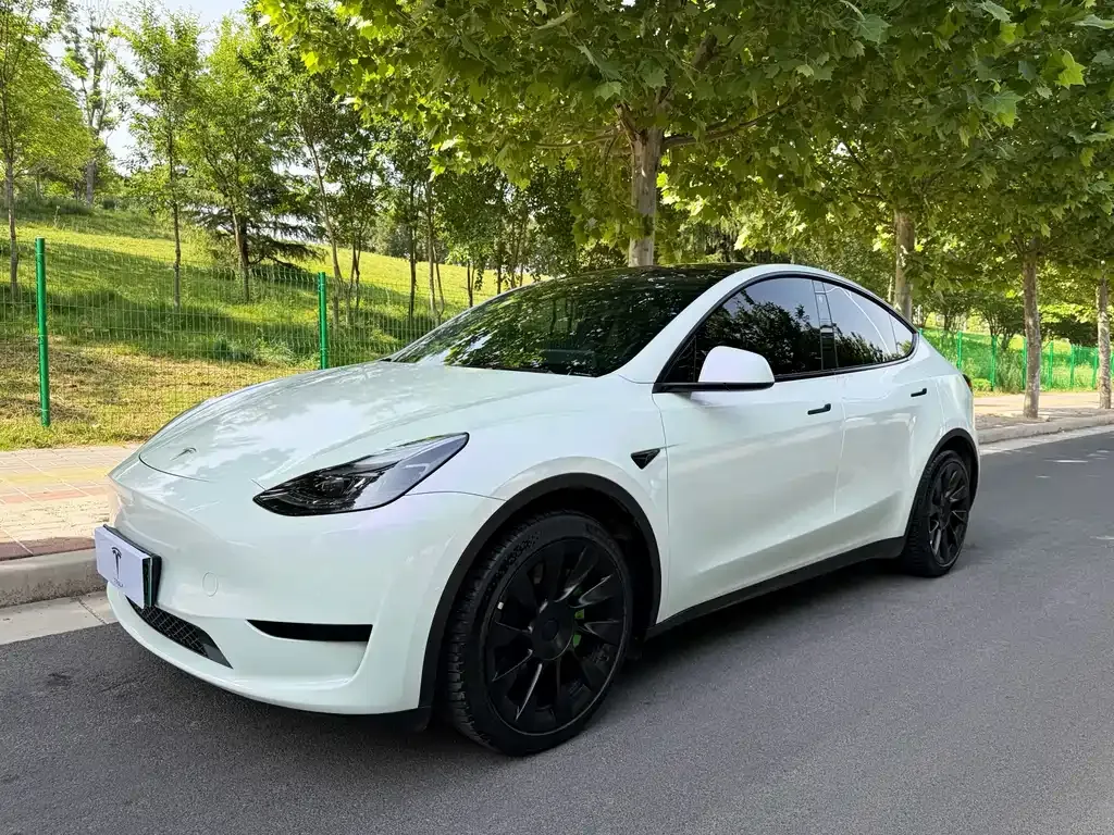 Tesla Model Y — фото 1
