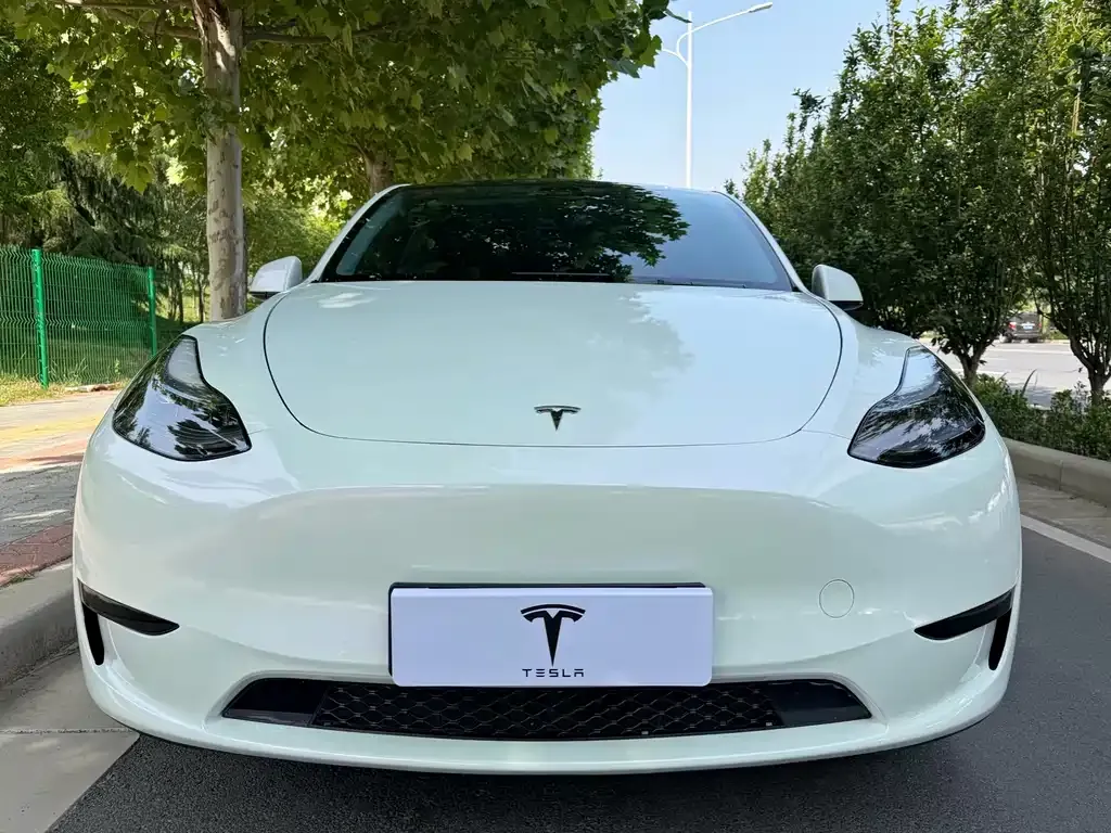 Tesla Model Y — фото 2