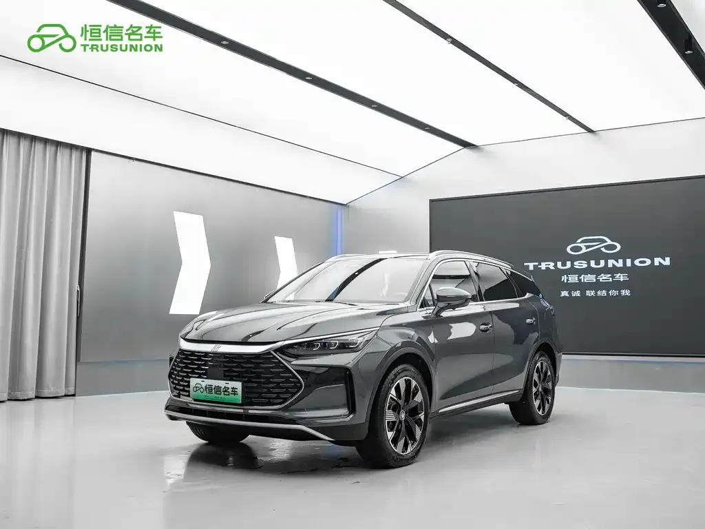 BYD Tang New Energy — фото 1