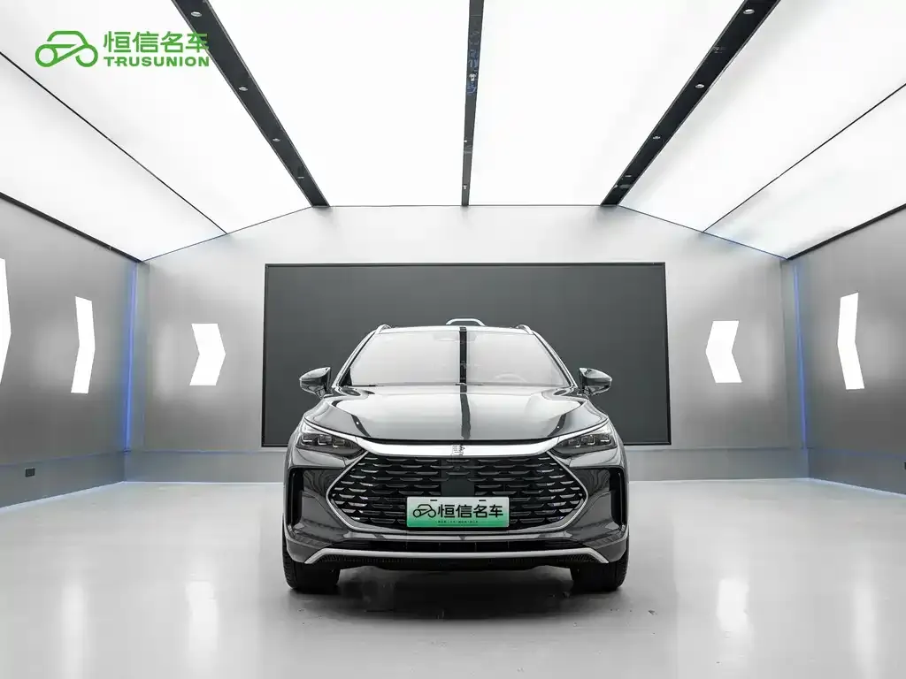 BYD Tang New Energy — фото 5