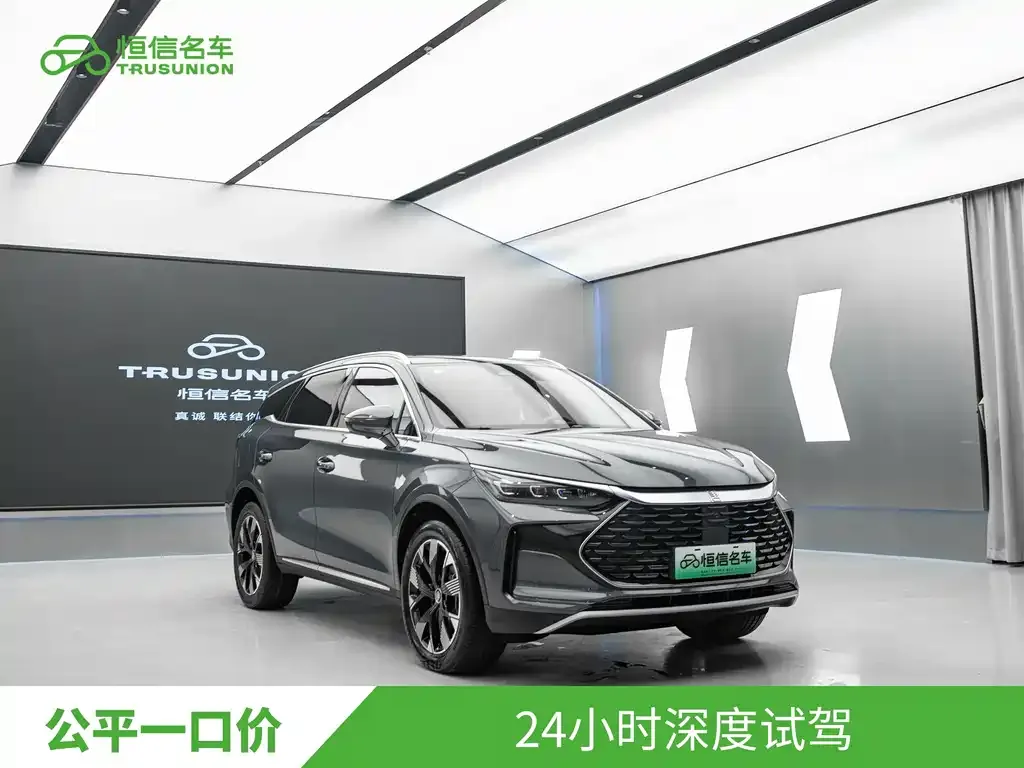 BYD Tang New Energy — фото 4