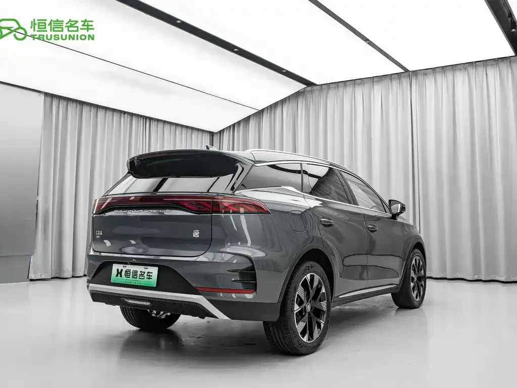BYD Tang New Energy — фото 3