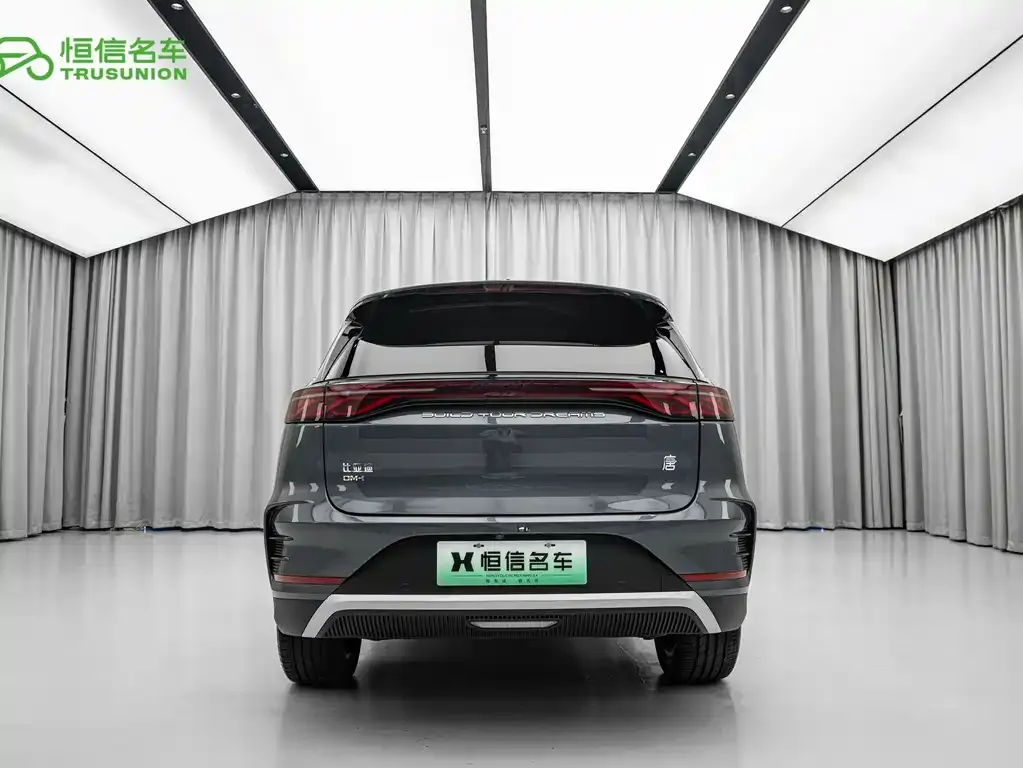 BYD Tang New Energy — фото 2