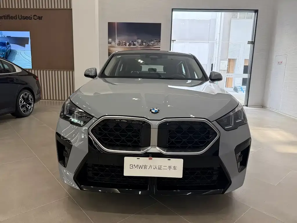 BMW X2 (Import) — фото 1