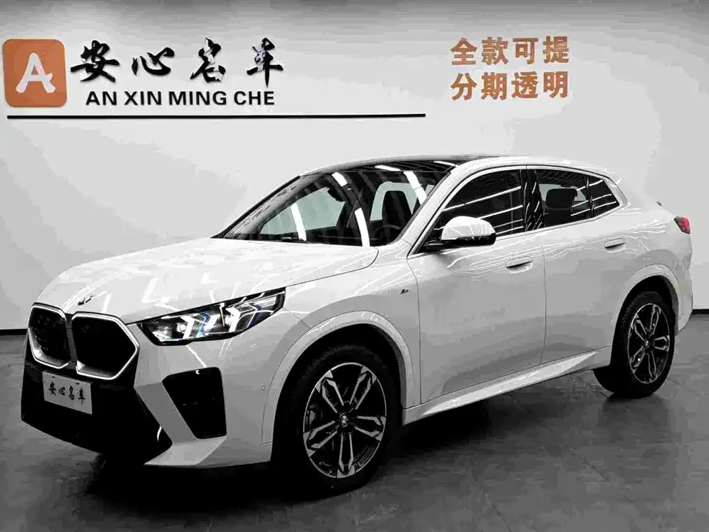 BMW X2 (Import) — фото 1
