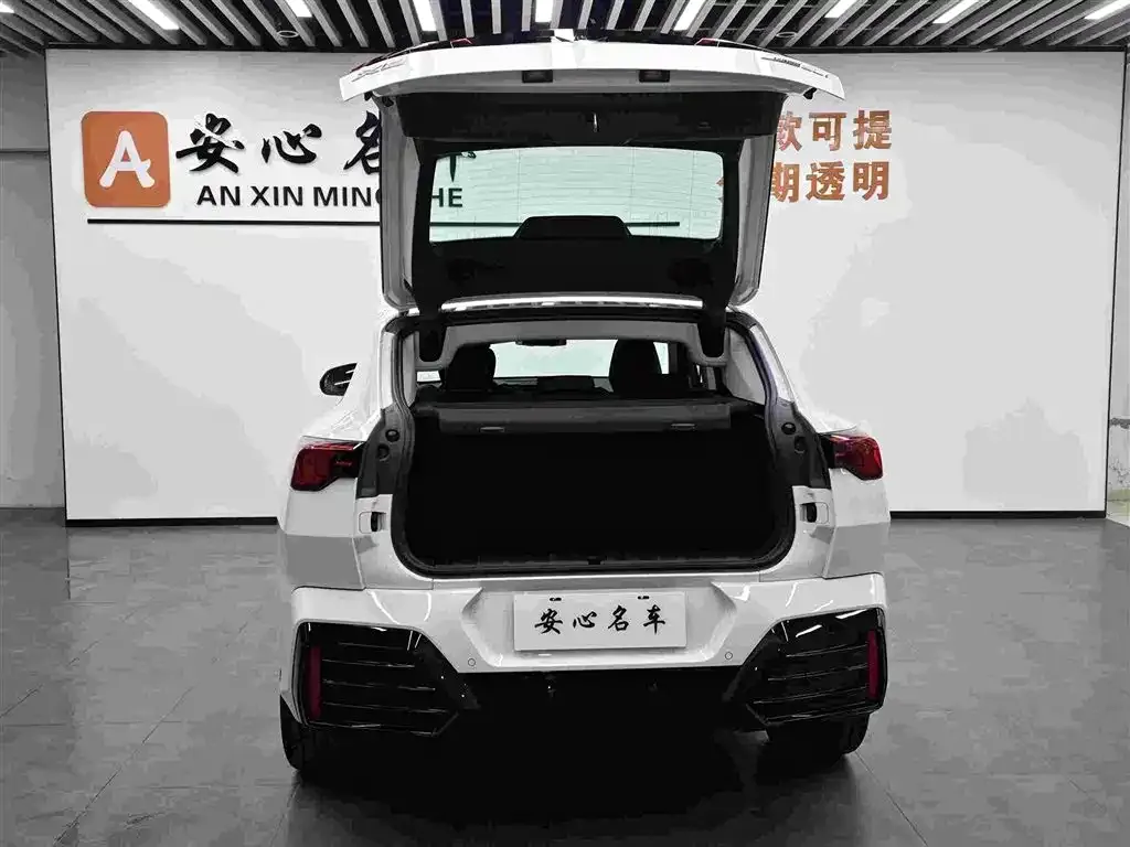 BMW X2 (Import) — фото 3