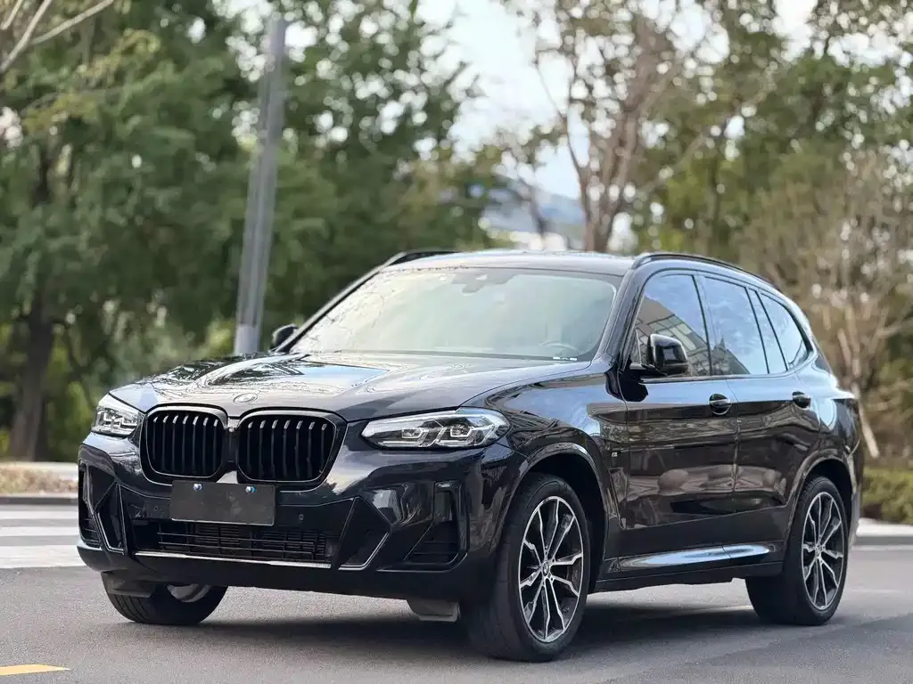 BMW X3 — фото 1