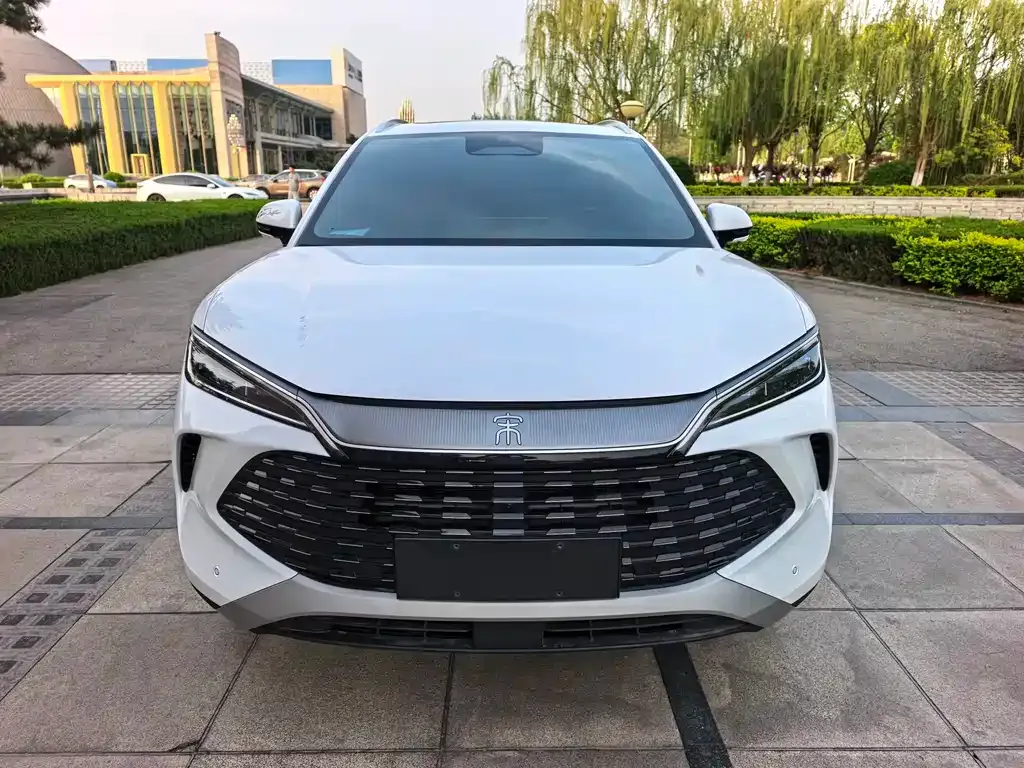 BYD L DM-i — фото 1