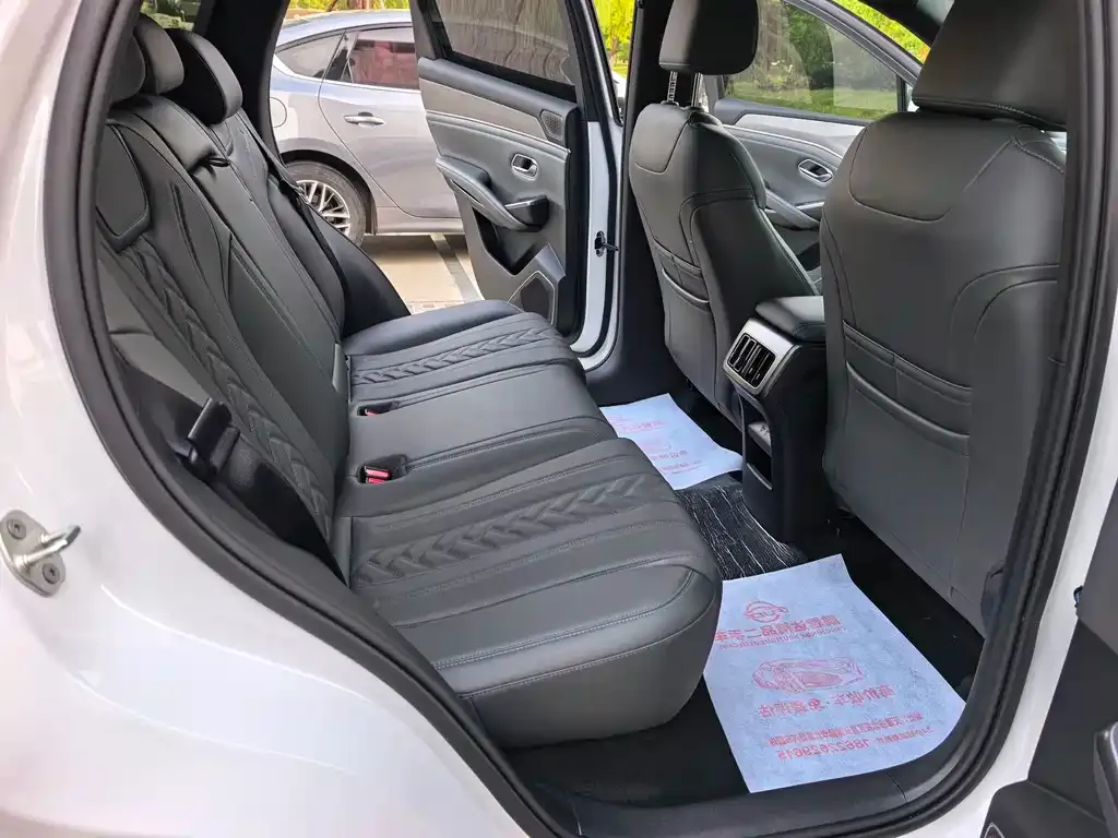 BYD L DM-i — фото 3