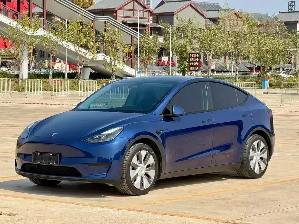 Tesla Model Y — фото 1