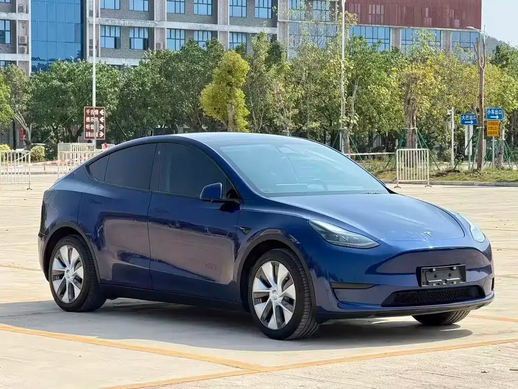 Tesla Model Y — фото 9
