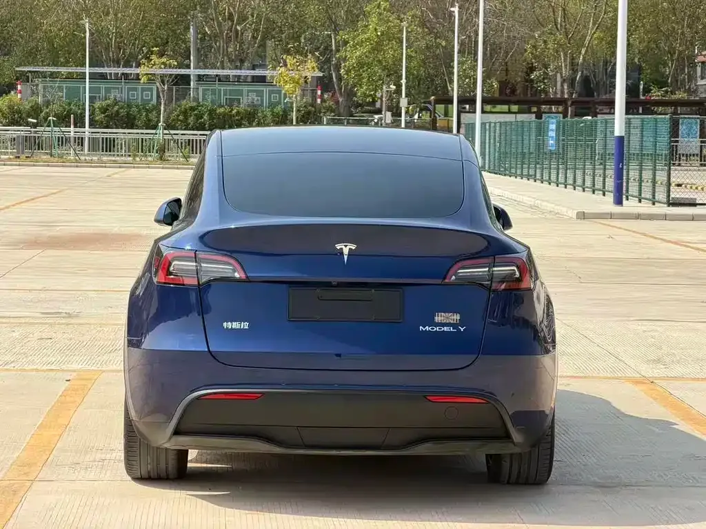Tesla Model Y — фото 3