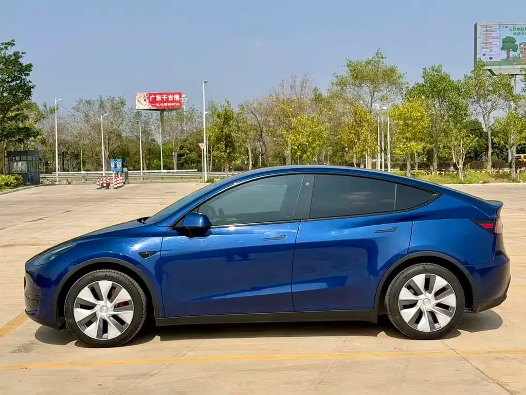 Tesla Model Y — фото 2