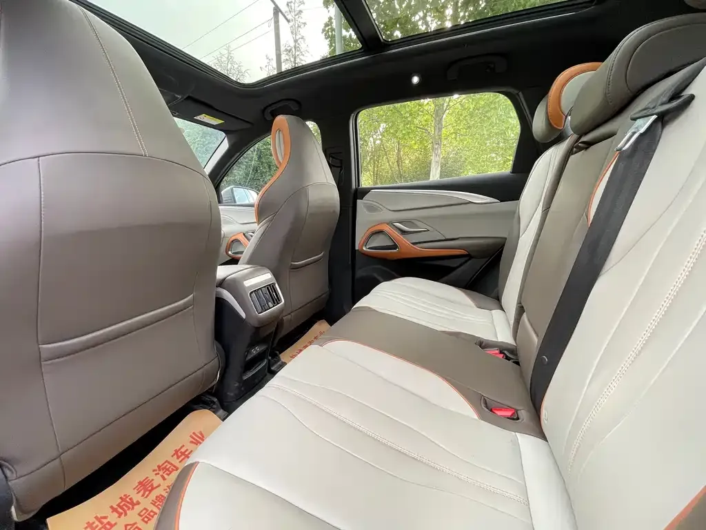 BYD Pro New Energy — фото 4