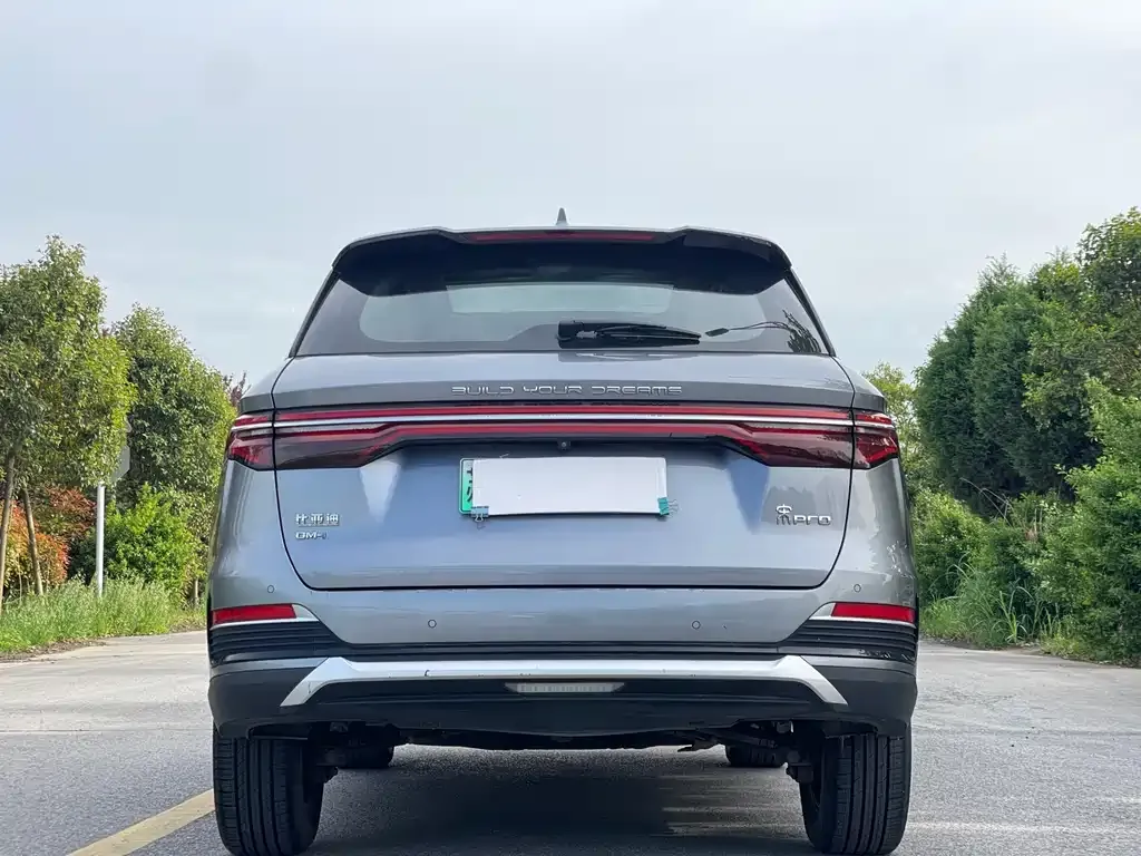 BYD Pro New Energy — фото 6