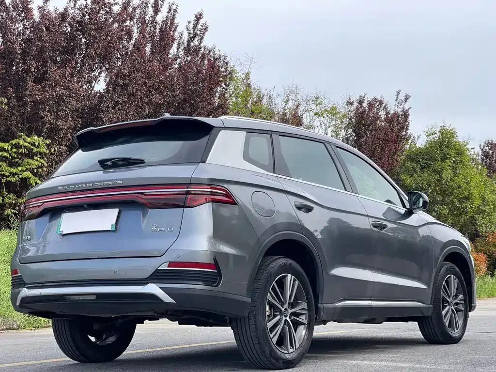 BYD Pro New Energy — фото 9