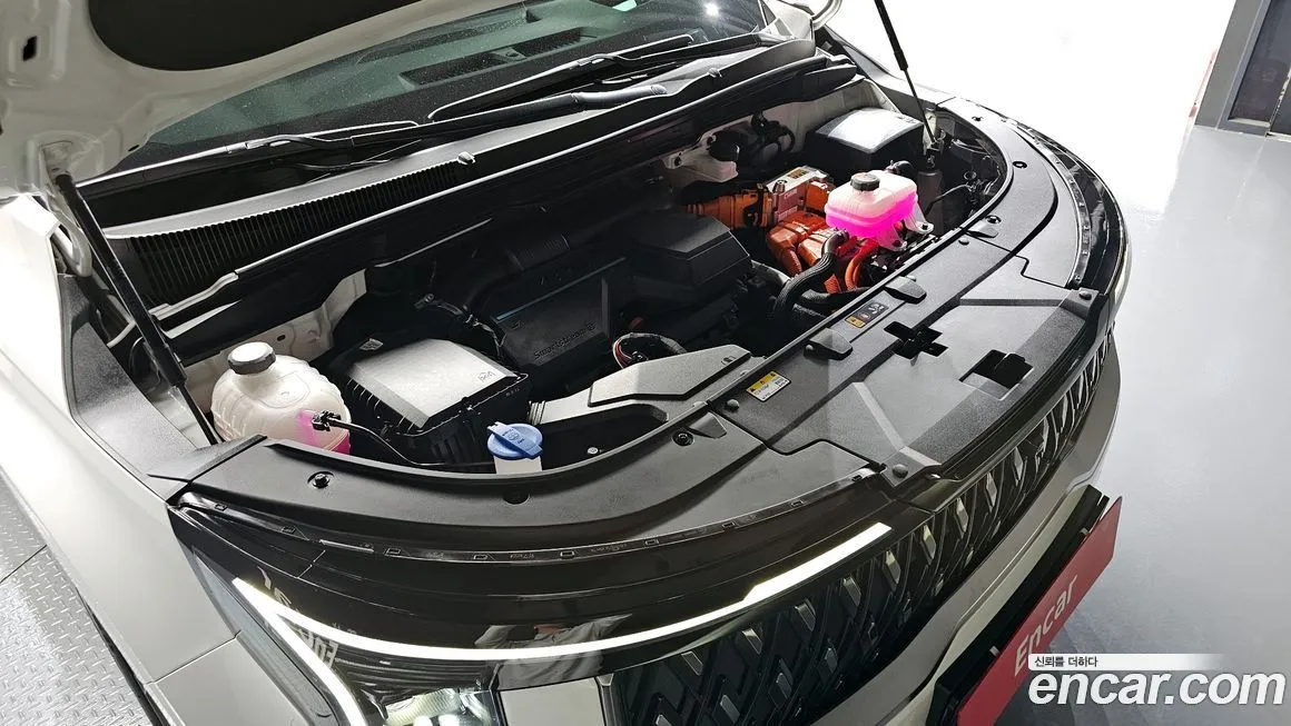 Kia Carnival — фото 10