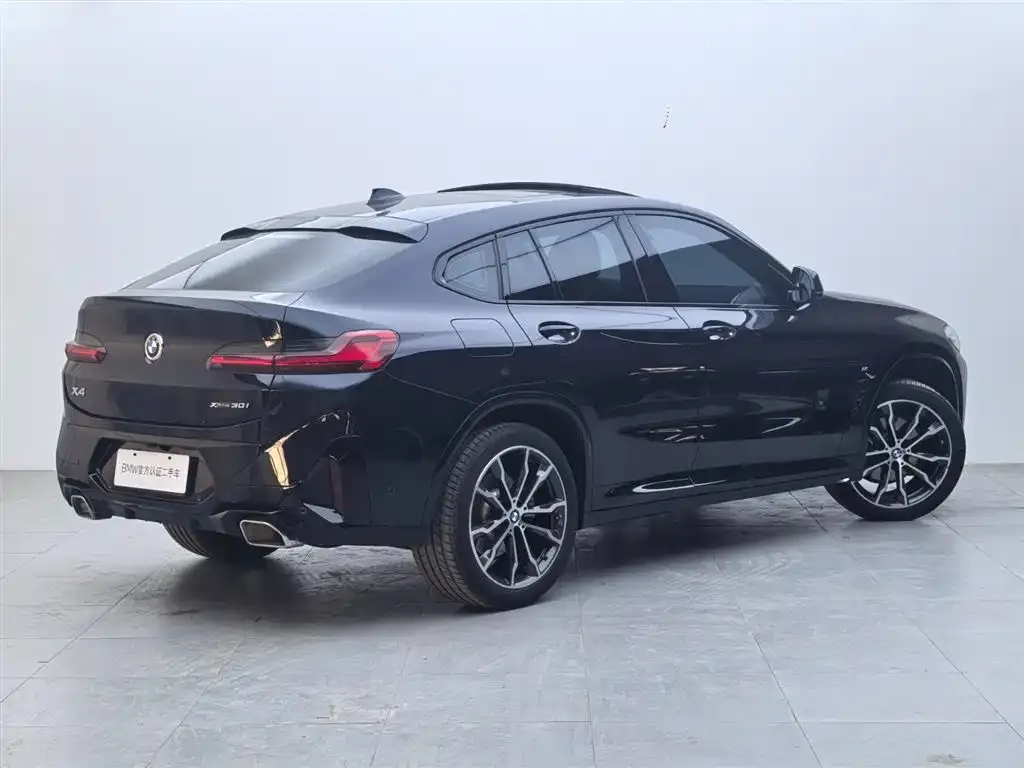 BMW X4 — фото 8