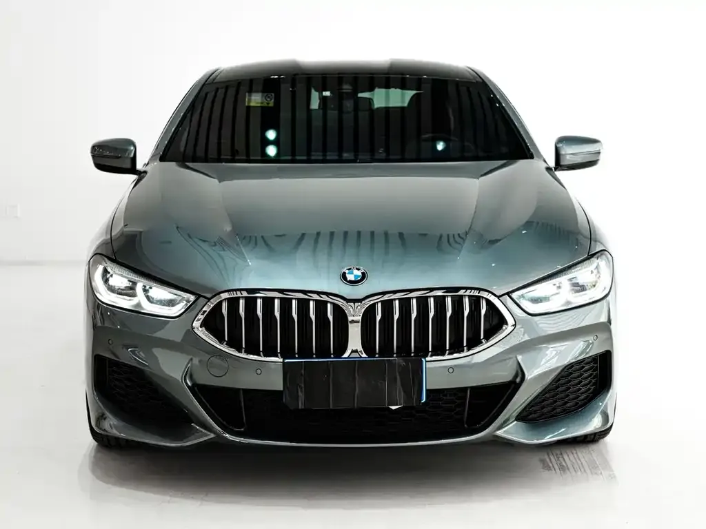BMW 8 Series — фото 6