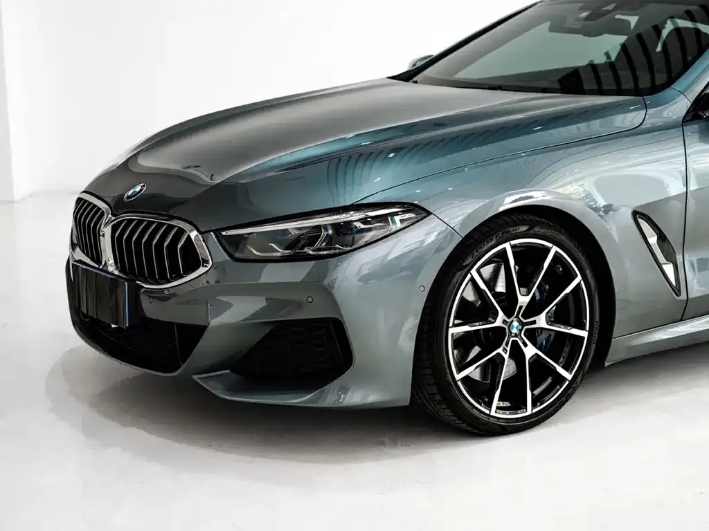 BMW 8 Series — фото 9
