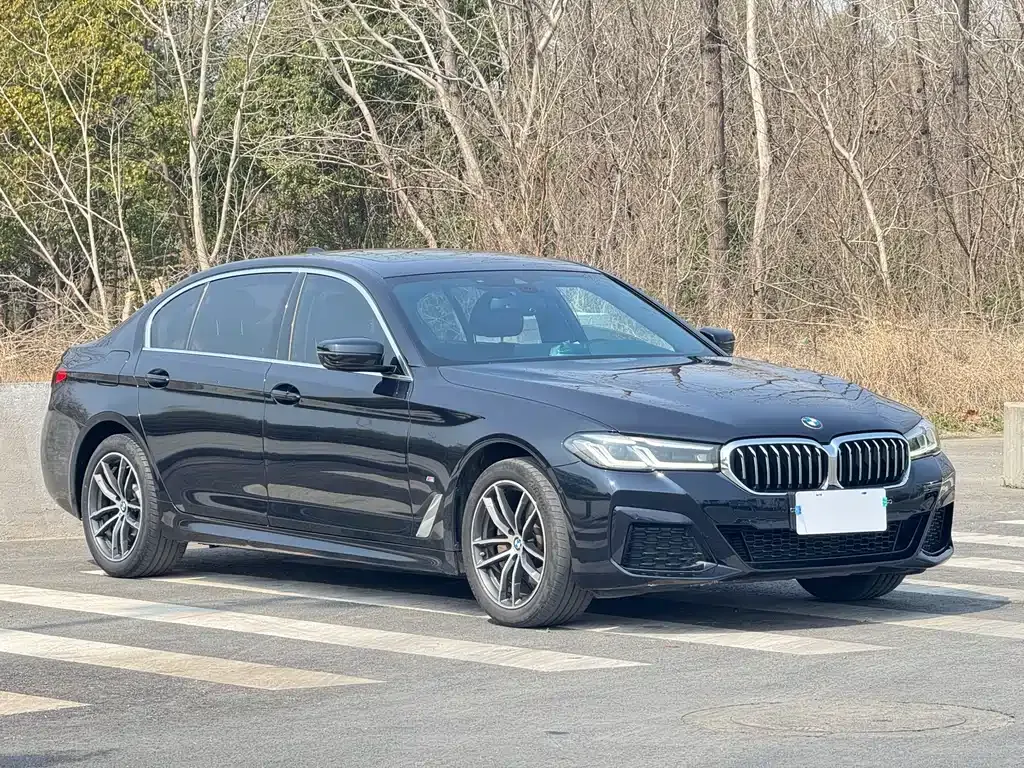 BMW 5 Series — фото 10