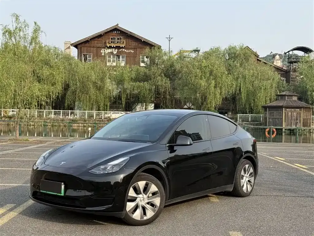 Tesla Model Y — фото 1